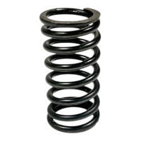 Valve spring for valve Spring for 750 SV gallery